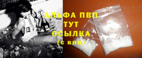 ГАЛЛЮЦИНОГЕННЫЕ ГРИБЫ Горно-Алтайск