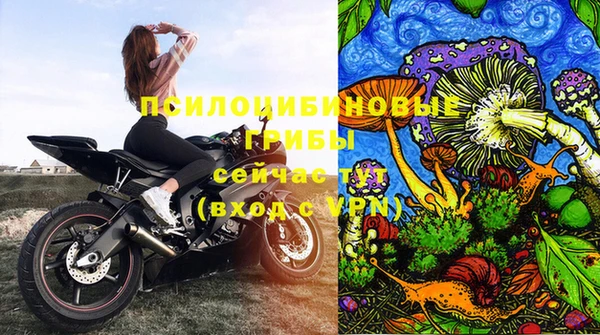 молекула духа Гусев