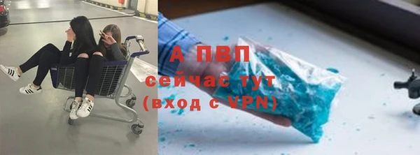 твердый Горняк