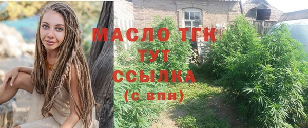 молекула духа Гусев