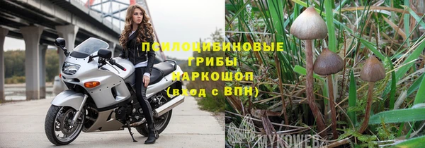 прущий лед Михайловск